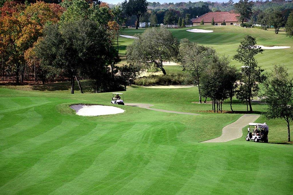 Terra Vista Golf